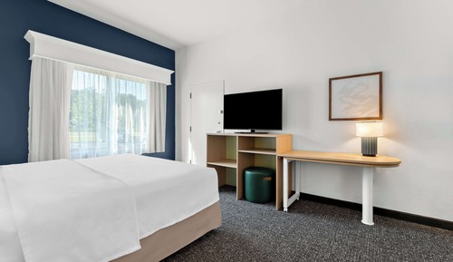 Room, 1 King Bed, Accessible, Bathtub (Mobility & Hearing)