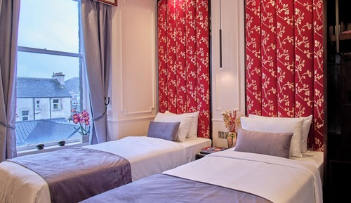 Petite Cozy Twin Room