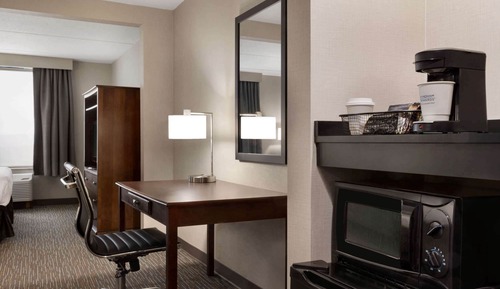 Standard Room, 1 King Bed, Accessible, Non Smoking (Mobility, Roll-In Shower,Pet-Friendly)