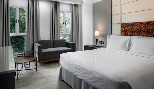 Deluxe Room, 1 King Bed (View)