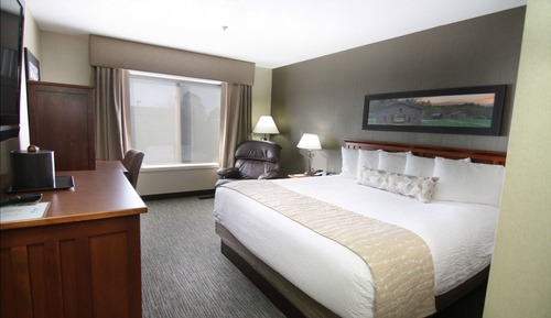 Executive Room, 1 King Bed, Non Smoking