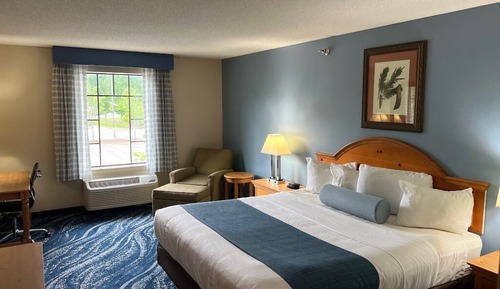 Standard Room, 1 King Bed