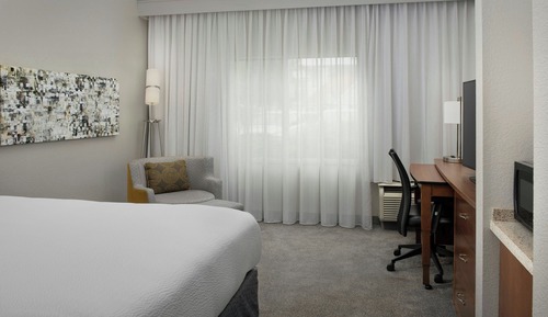 Room, 1 King Bed