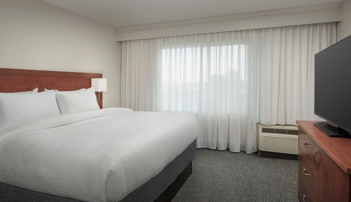 Executive Suite, 1 King Bed with Sofa bed