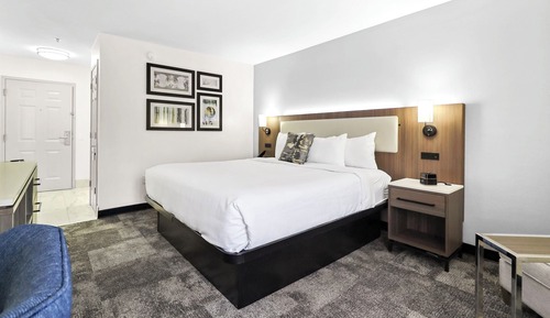 Room, 1 King Bed, Non Smoking