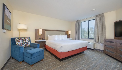 Standard Room, 1 King Bed, Jetted Tub (pets not allowed)