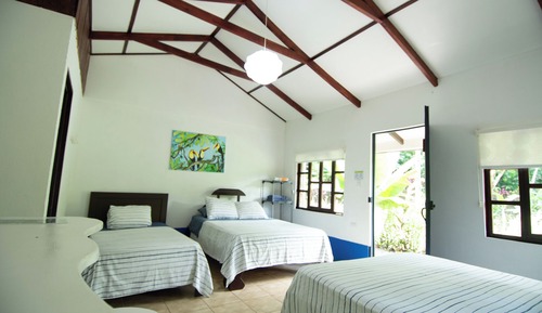 Family Room, 2 Double Beds