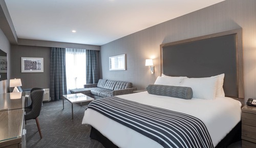 Standard Room, 1 King Bed with Sofa bed
