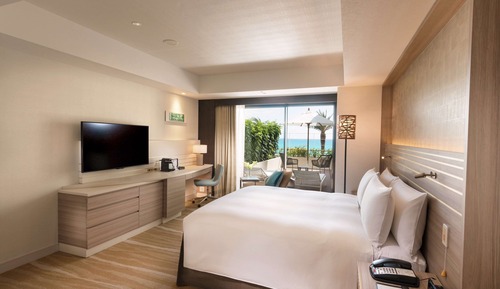 KING ACCESSIBLE ROOM