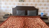 Deluxe Double or Twin Room, 2 Double Beds, Hill View