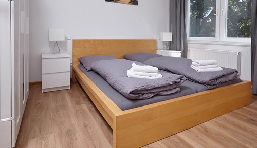 Deluxe Apartment (6)