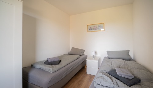 Classic Apartment (9)