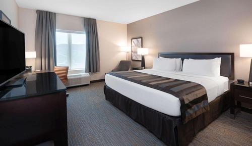 Room, 1 King Bed, Mobility Accessible, Non Smoking (Roll-in Shower)