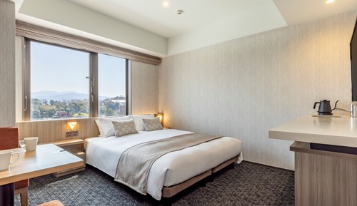 Residential Double Room, Single Use