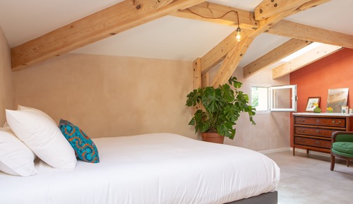 Double Room, Ensuite, Garden View (Philodendron)