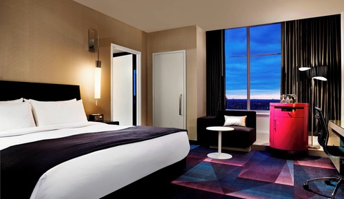 Room, 1 King Bed