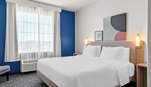 Room, 1 King Bed with Sofa bed