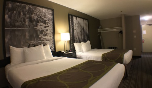 Standard Room, 2 Queen Beds