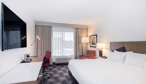 Room, 1 King Bed (Hearing)