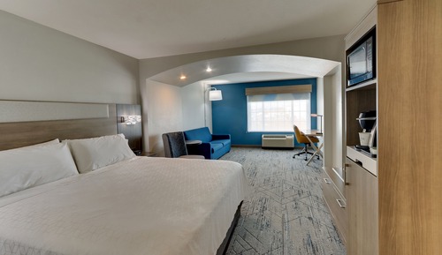 Suite, 1 King Bed with Sofa bed