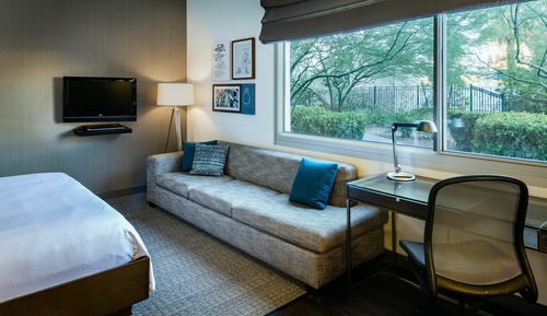 Studio, 1 King Bed with Sofa bed