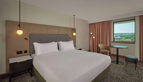 Room, 1 King Bed