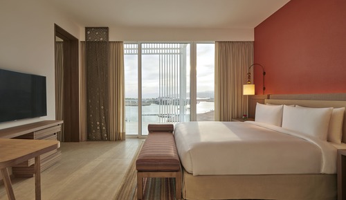 Room, 1 King Bed