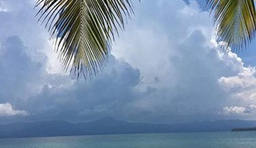 Basic Cabin, Multiple Beds, Non Smoking