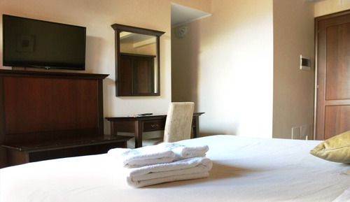 Superior Double or Twin Room (101)