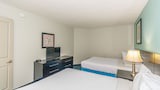 Basic Apartment