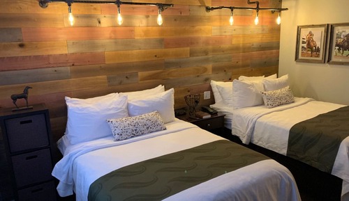 Basic Suite, 2 Double Beds