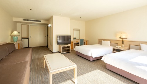 Deluxe Twin Room, Smoking
