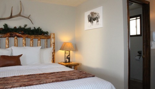 Room, 1 King Bed