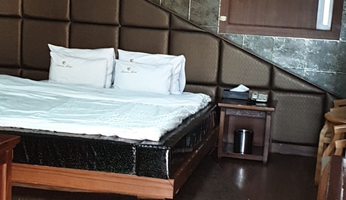Standard Room (Bed type)