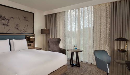 Room, 1 King Bed, Non Smoking