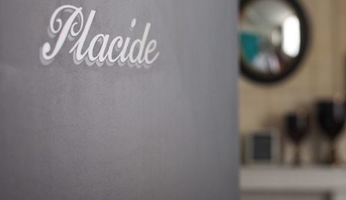 Executive Room (Placide)