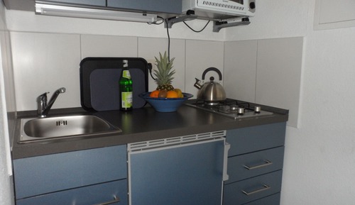 Premium Studio, Private Bathroom, Garden View (Studio 3 Blau)