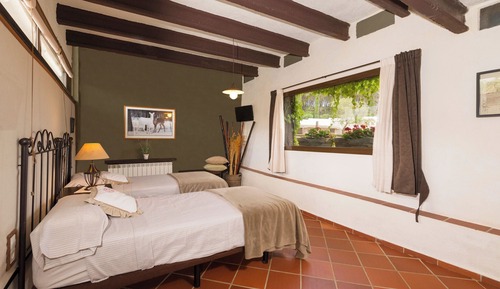 Standard Twin Room (Idomeneo)