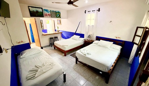 Family Studio, Garden View