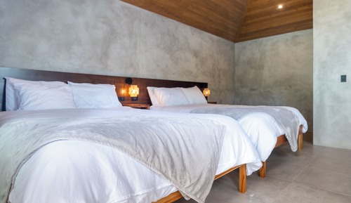 Superior Room, Garden View