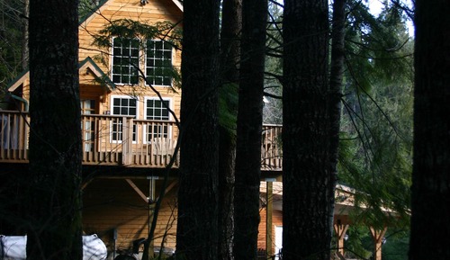 Forest Retreat Cabin