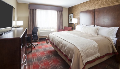 Room, 1 King Bed