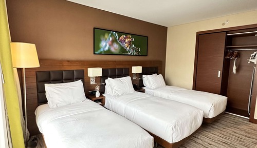 Triple Room, 3 Twin Beds, City View
