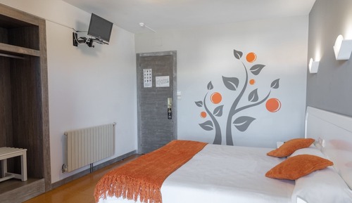 Double or Twin Room