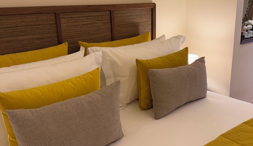 Luxury Suite