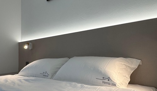 Superior Room, 1 Queen Bed, Non Smoking