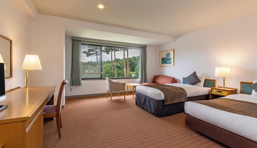 Deluxe Twin Room, Non Smoking