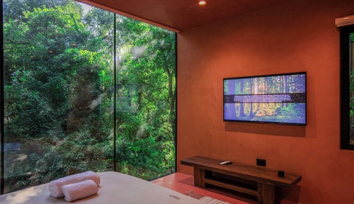 Luxury Villa, Garden View