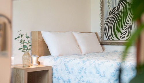 Basic Room, 1 Bedroom (sea snail)