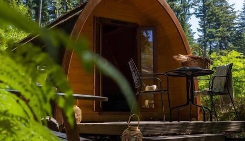 Comfort Studio, Park View